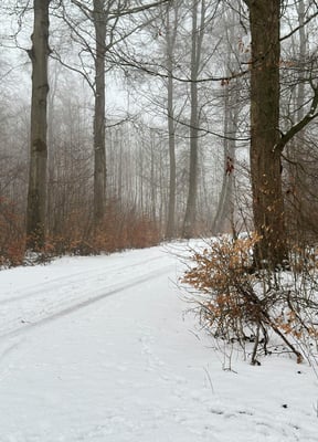 Fat Biking & Segway Tours at Stratton Adventures