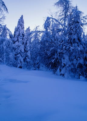 Snowshoeing at Stratton Mountain Nordic Center