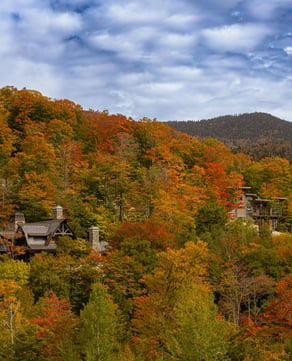 Stratton's Best Views